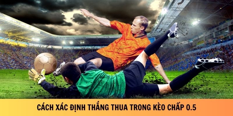 Cách xác định thắng thua trong kèo chấp 0.5